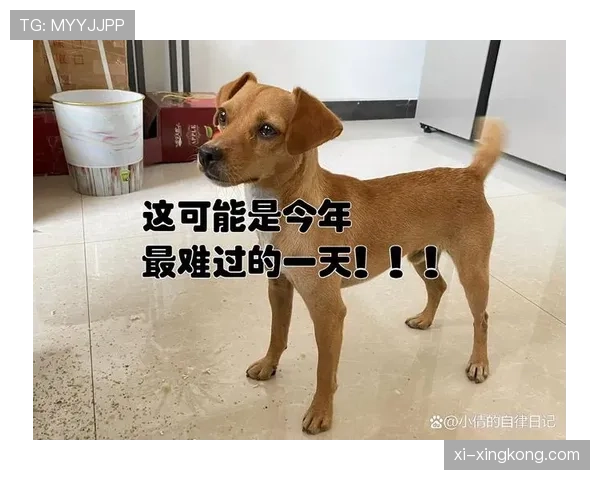 蒋圣龙家的狗都比你自律